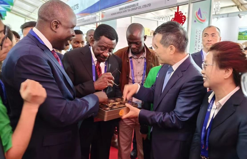 益陽黑茶香飄非洲 2024中非經(jīng)貿(mào)博覽會(huì)上的經(jīng)貿(mào)橋梁